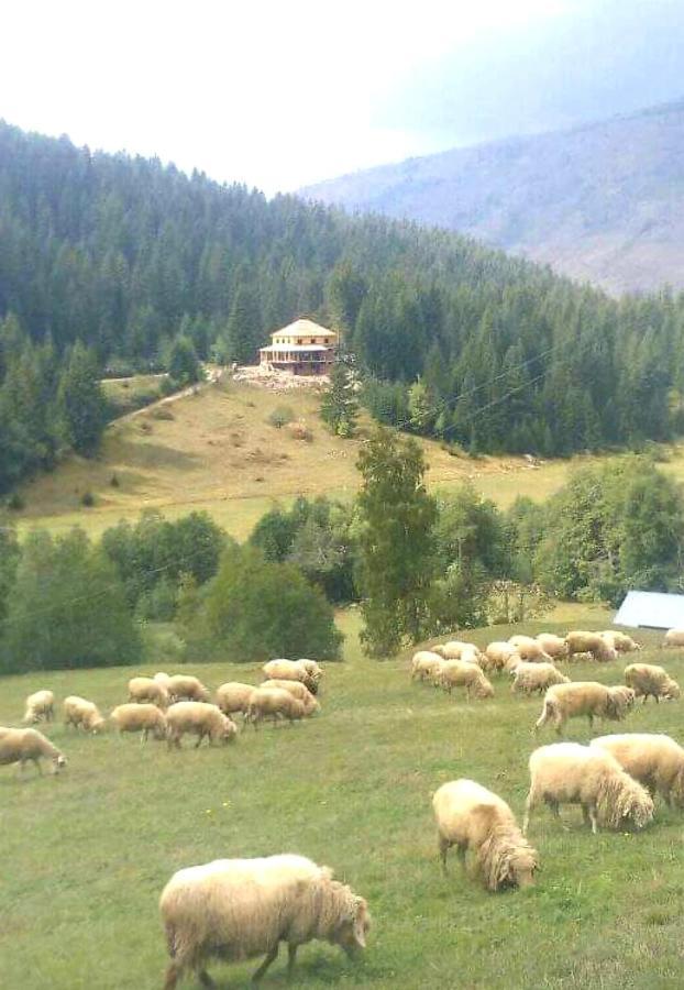 Villa Isov Ranch Plav Exterior foto