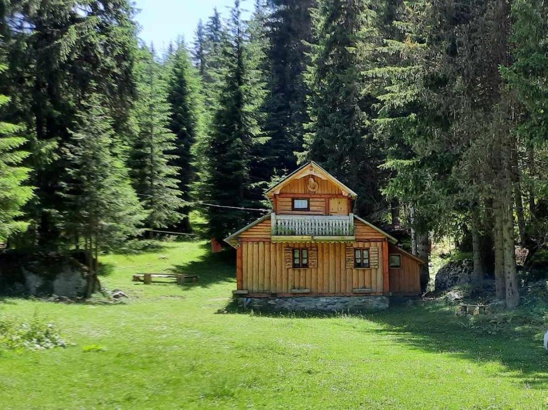 Villa Isov Ranch Plav Exterior foto