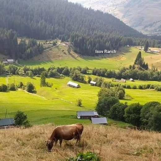 Villa Isov Ranch Plav Exterior foto