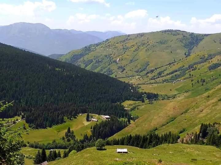 Villa Isov Ranch Plav Exterior foto