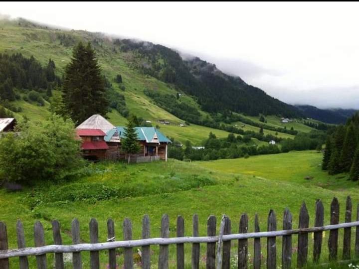 Villa Isov Ranch Plav Exterior foto