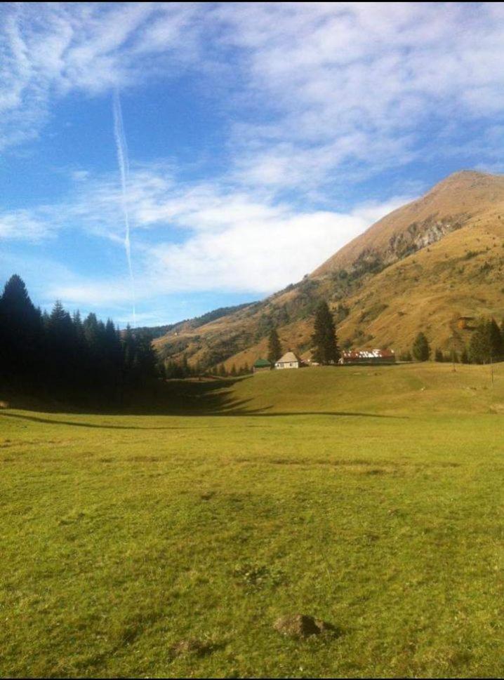 Villa Isov Ranch Plav Exterior foto