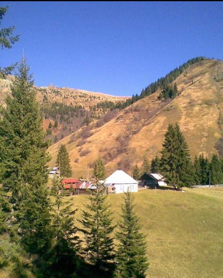 Villa Isov Ranch Plav Exterior foto